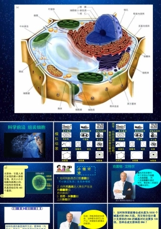 科学前沿组装细胞-(11)