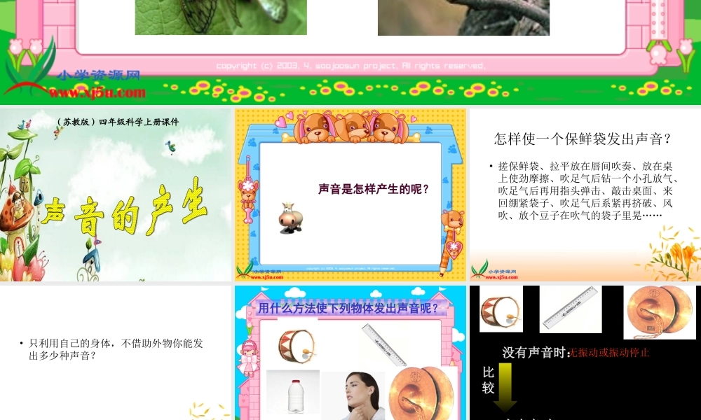 (苏教版)四年级科学上册课件-声音的产生