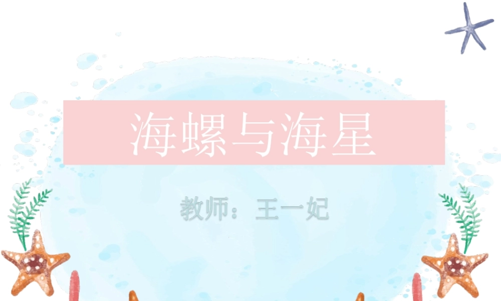 9.海螺和海星