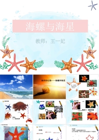 9.海螺和海星
