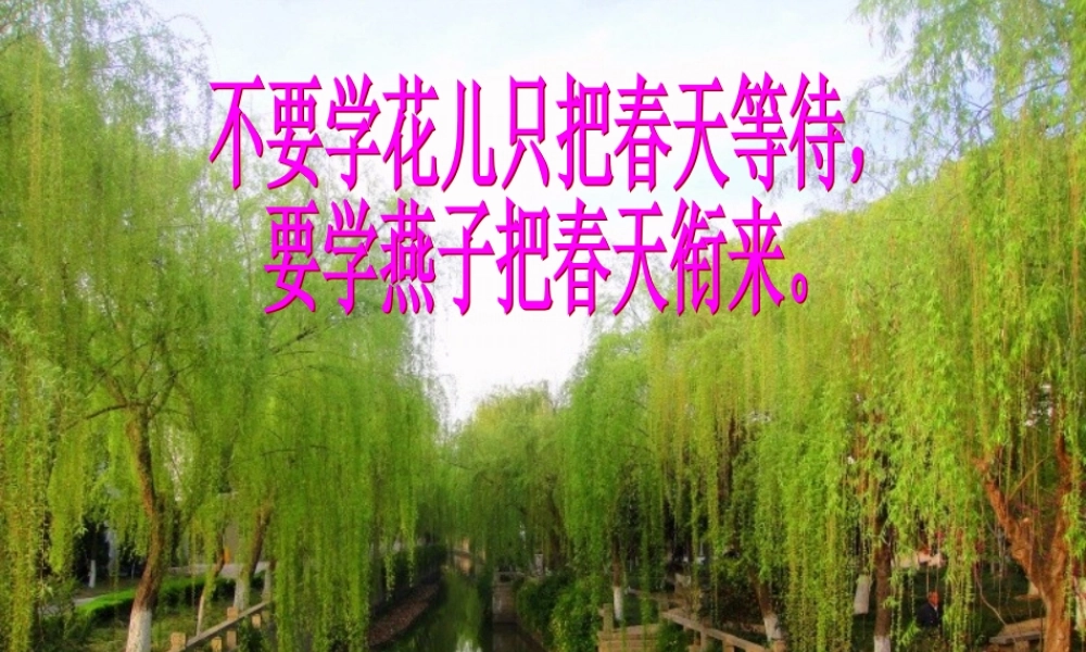 圆复习第一课时徐红娥
