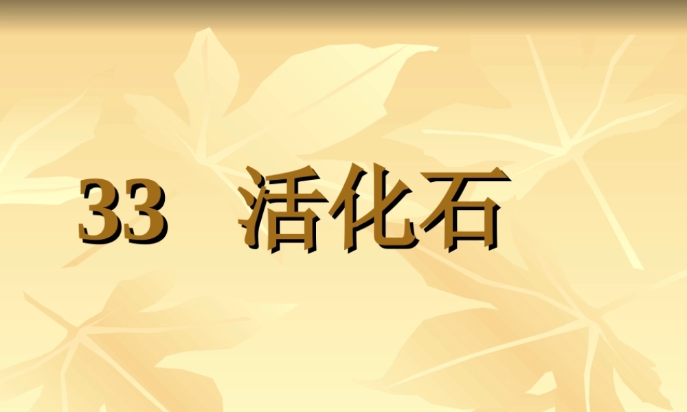 《活化石》ppt