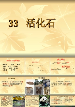 《活化石》ppt