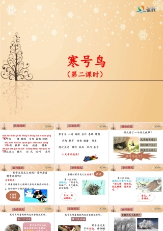 《寒号鸟》名师课件(第二课时)