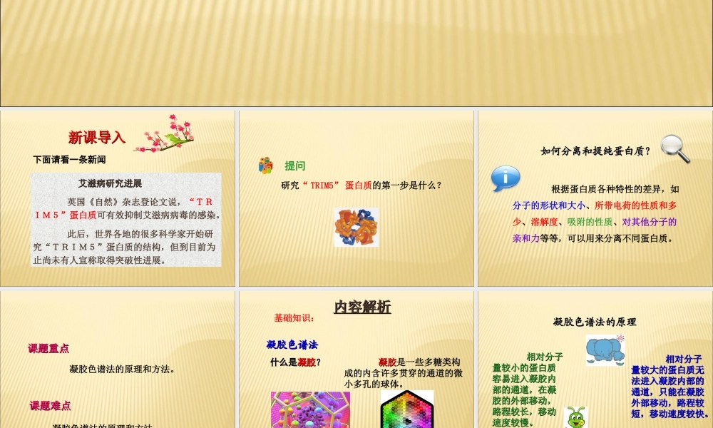 课题3-血红蛋白的提取和分离-(3)