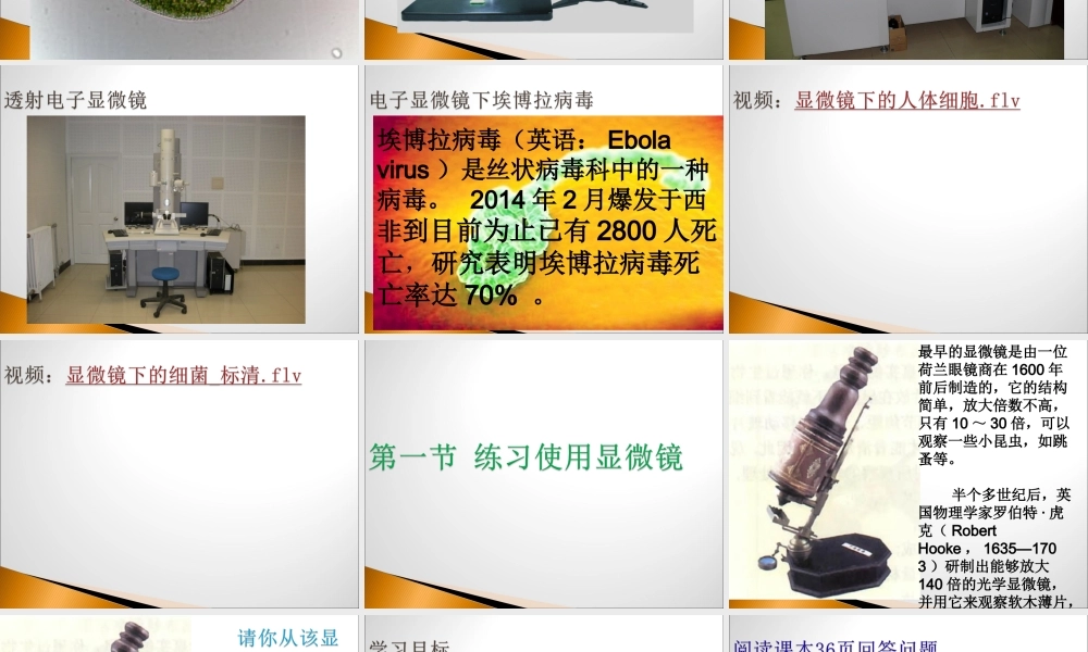 练习使用显微镜公开课原创