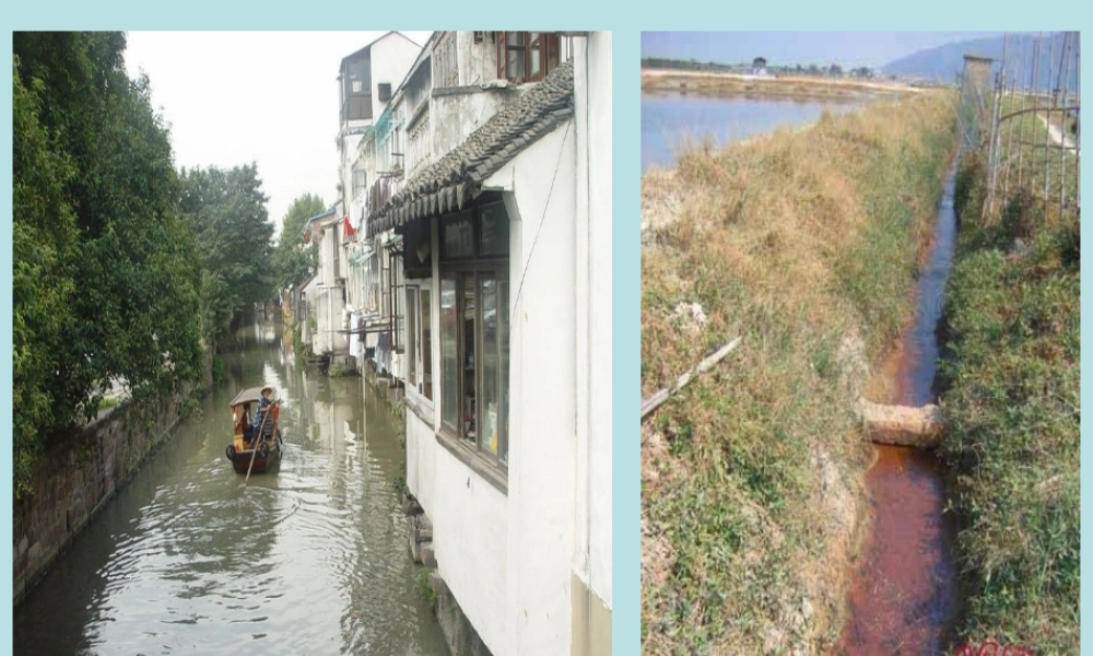 小班科学：清水及污水