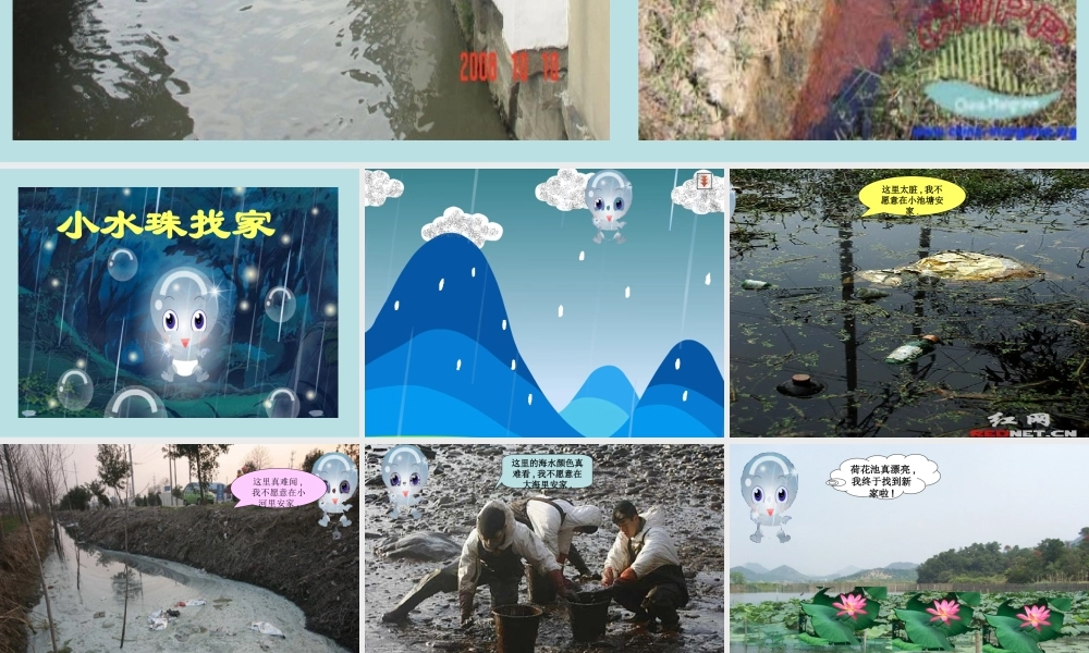 小班科学：清水及污水