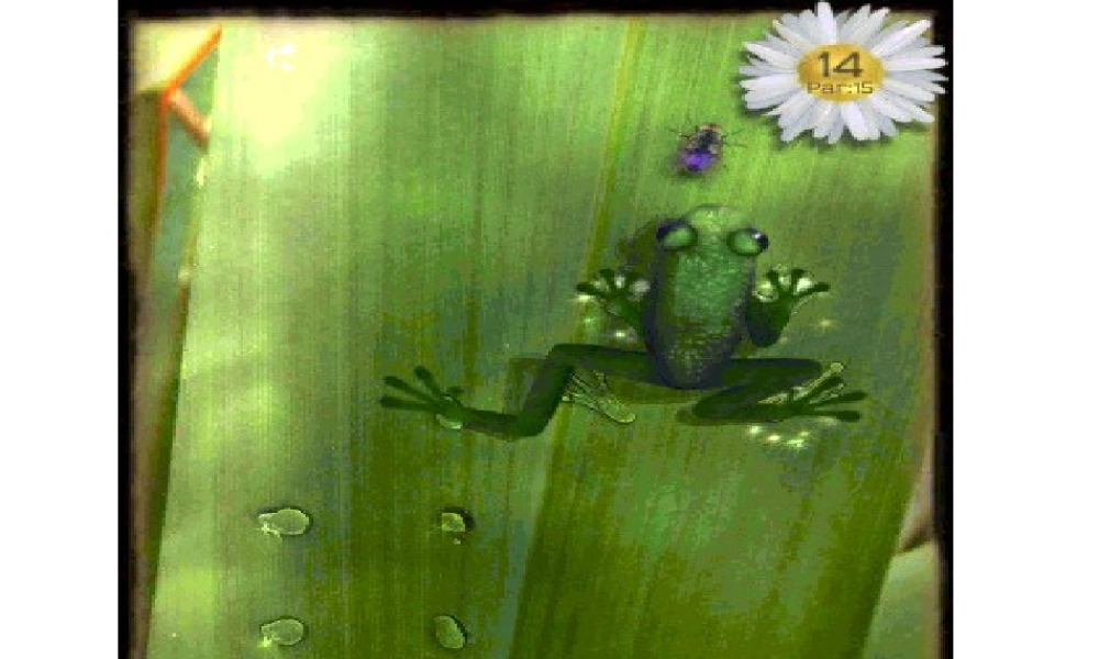 保护有益的小动物课件(1)