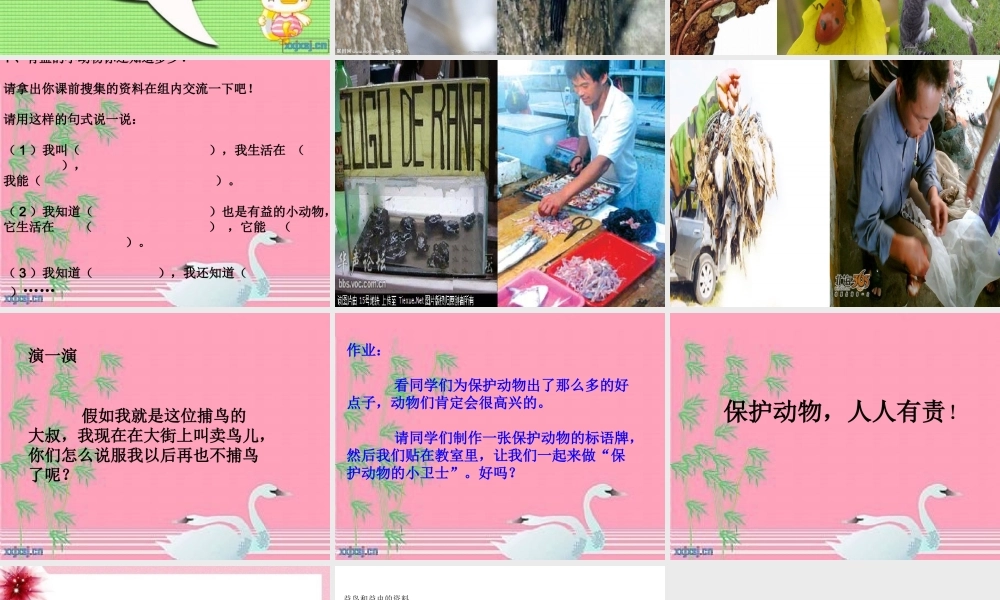 保护有益的小动物课件(1)
