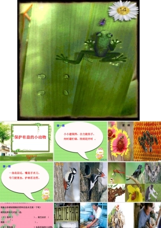 保护有益的小动物课件(1)