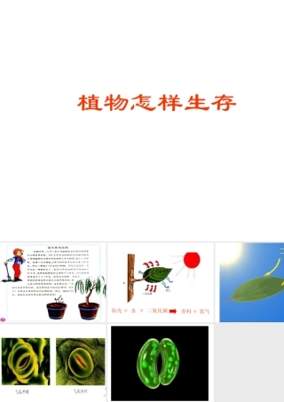 小学科学植物怎样生存