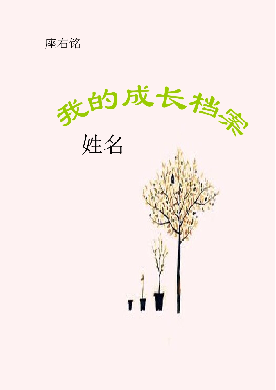 学生成长档案-501509_第1页