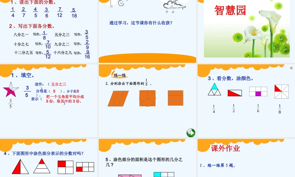 小学数学北师大2011课标版三年级北师版数学三年级下册《分一分(一)》第1课时