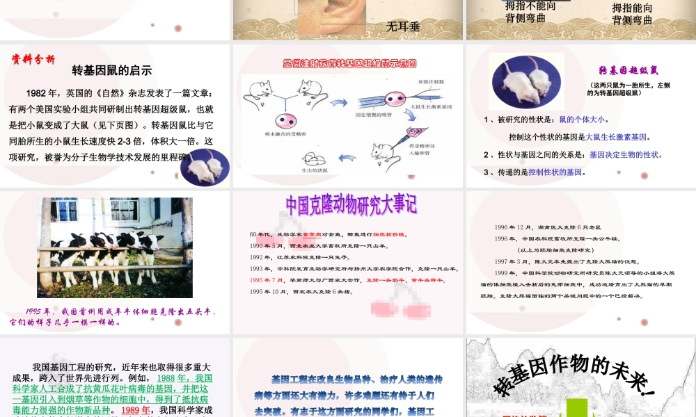 基因控制生物的性状