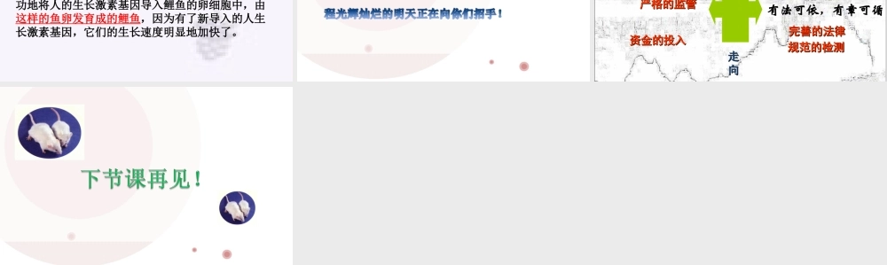 基因控制生物的性状
