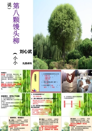1第八课馒头柳