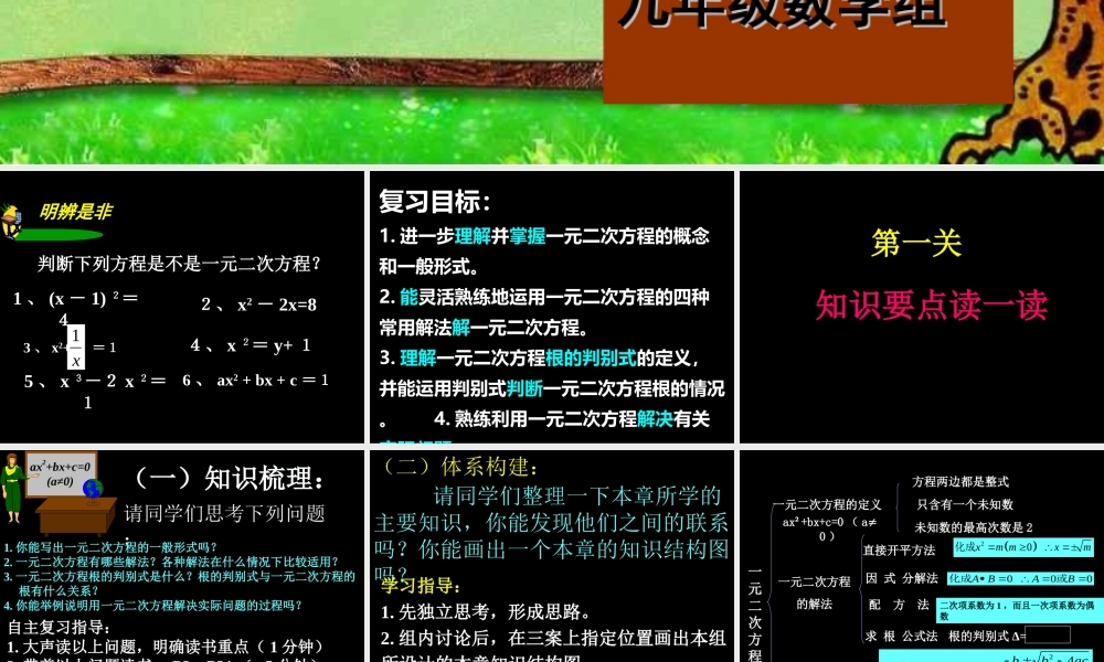 一元二次方程复习