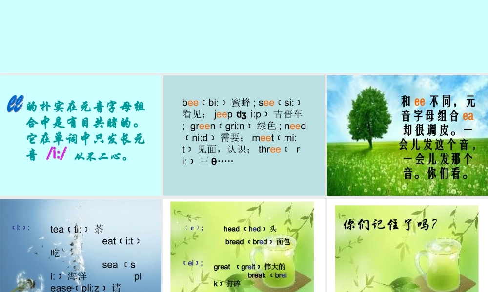朴实的ee和ea