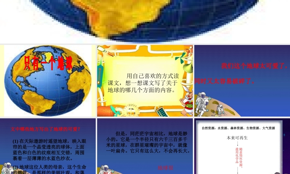 只有一个地球11