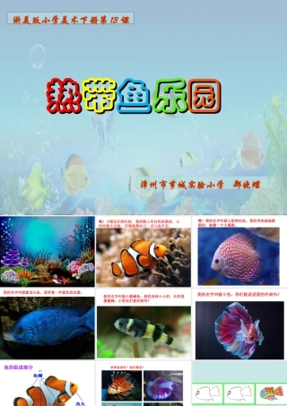 15热带鱼乐园