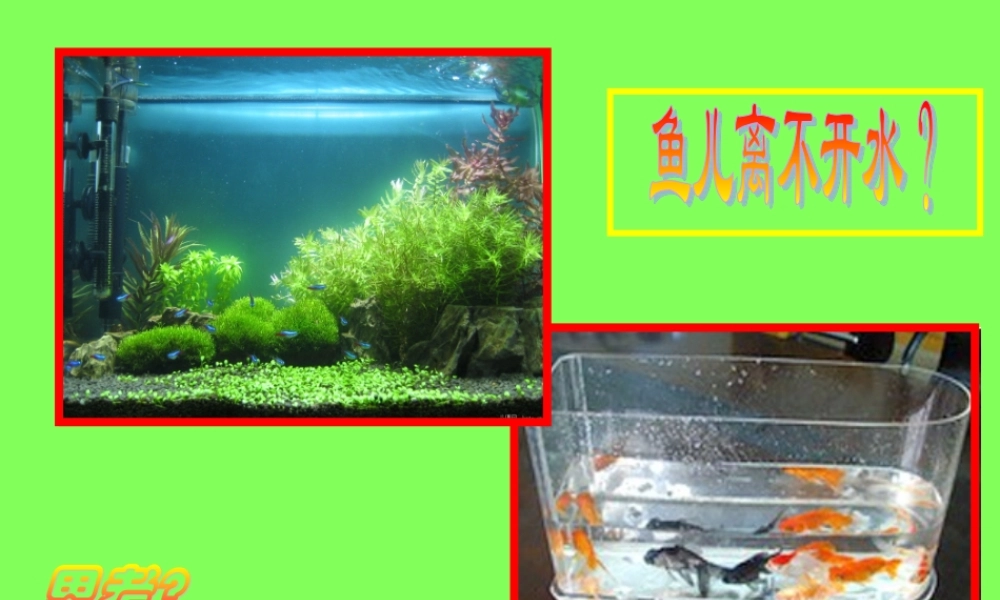 2.2环境影响生物的生存