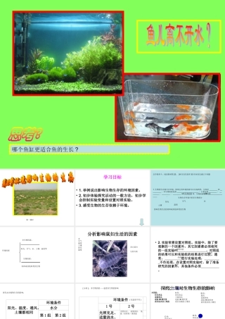 2.2环境影响生物的生存