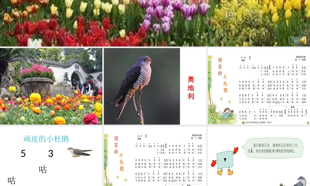 (演唱)顽皮的小杜鹃