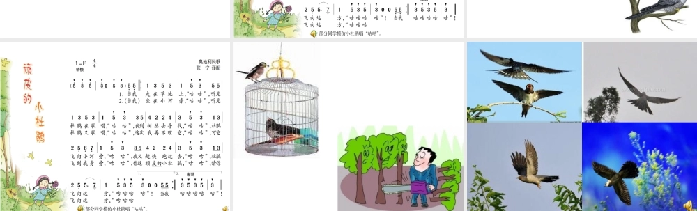 (演唱)顽皮的小杜鹃