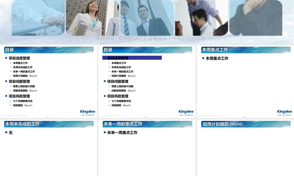 0.4-项目周工作总结模板