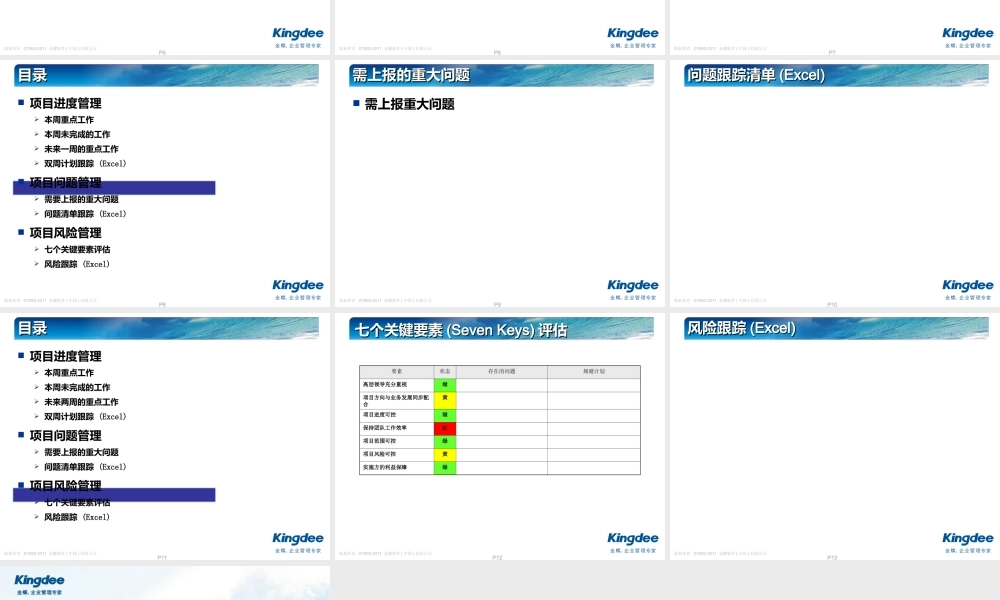0.4-项目周工作总结模板