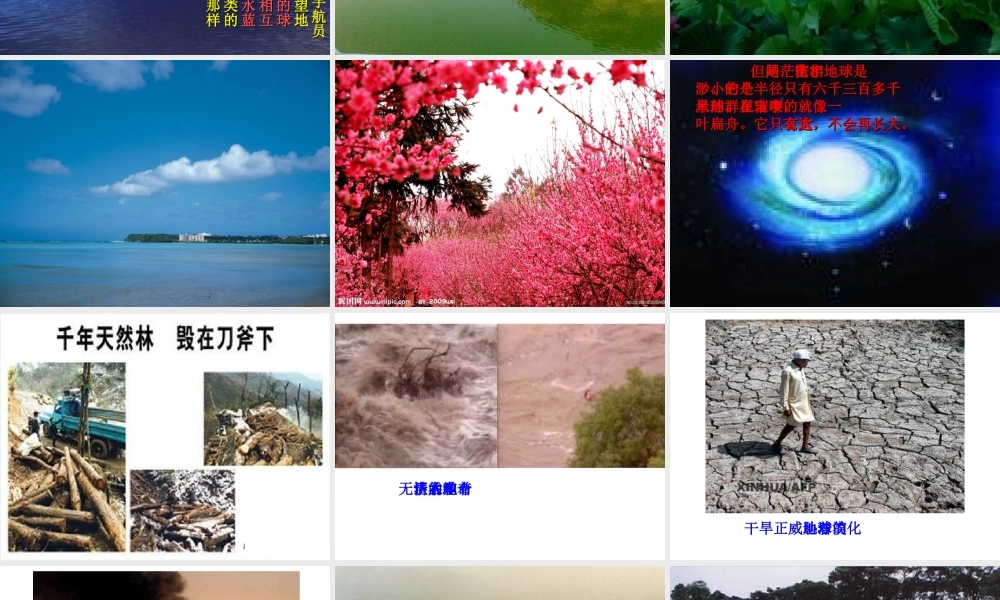 只有一个地球-(2)