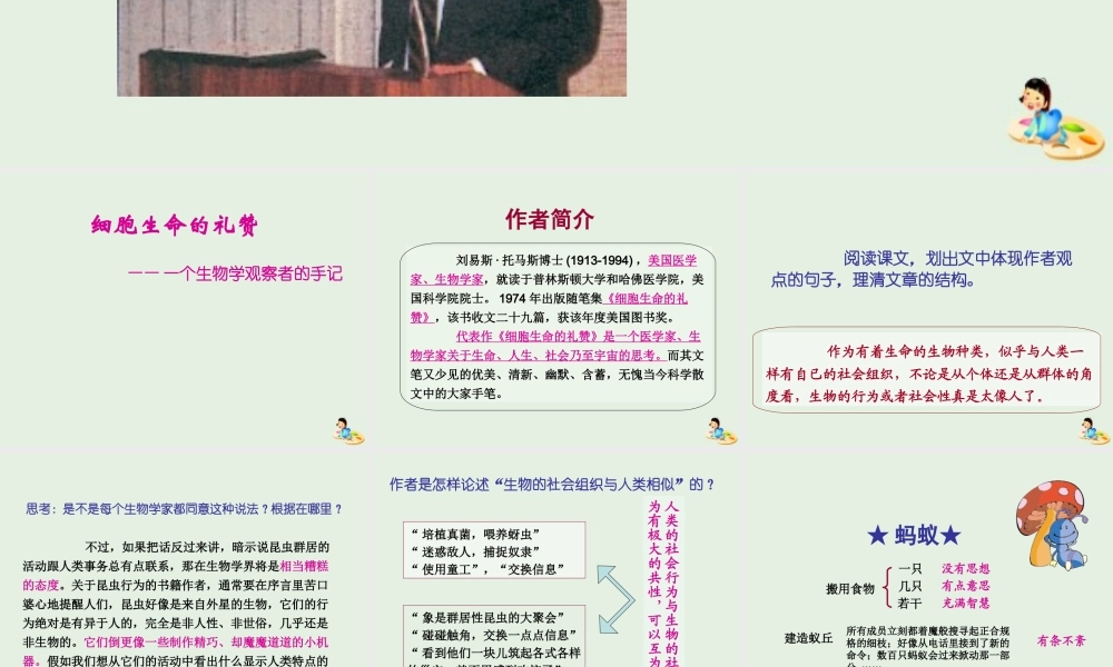 高中语文12作为生物的社会课件2新人教版必修5 课件