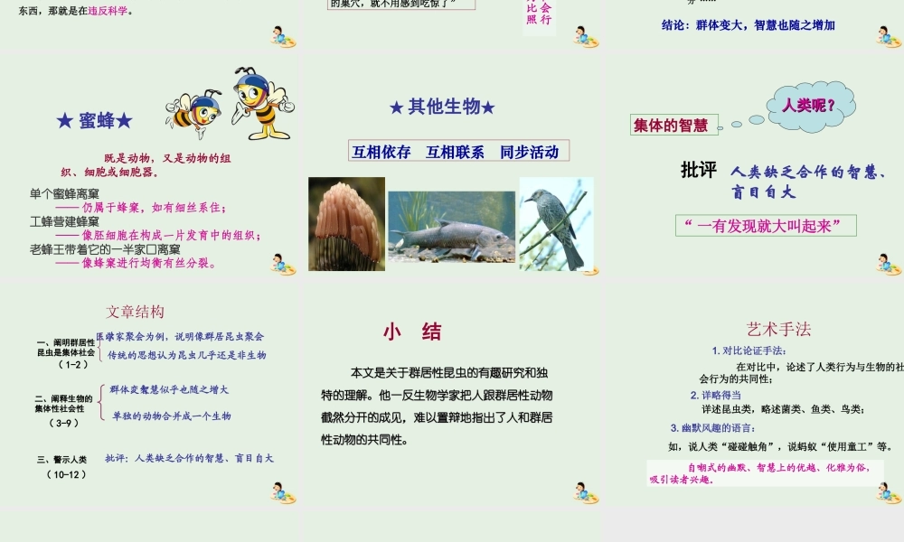 高中语文12作为生物的社会课件2新人教版必修5 课件