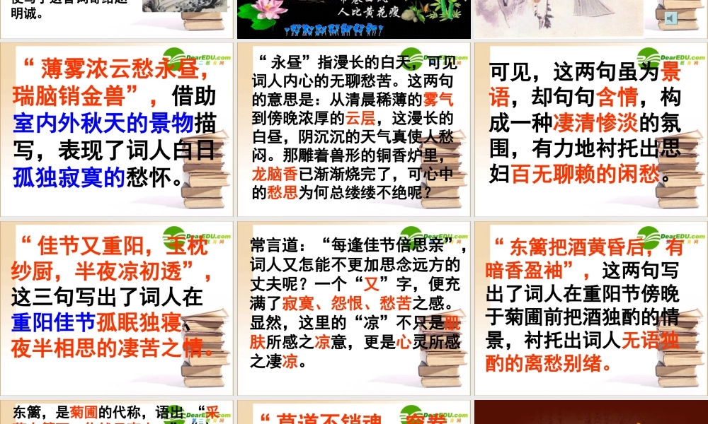 高中语文 醉花阴课件 新人教版必修4 课件