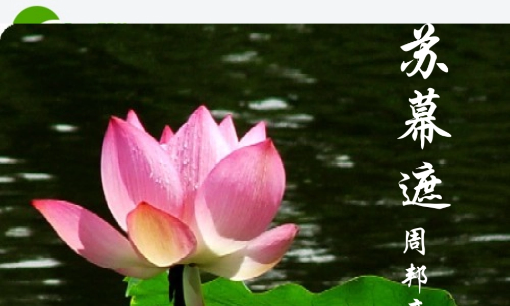 高中语文(苏幕遮)课件3 沪教版第三册 课件