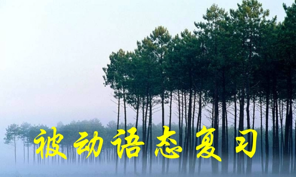 被动语态复习高三英语课件 新课标 人教版 课件