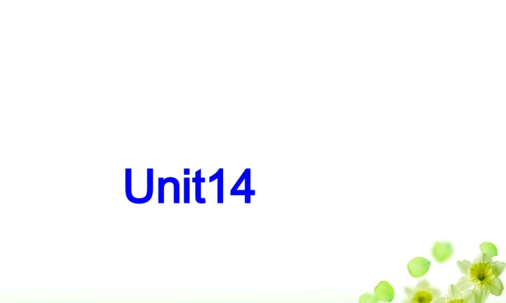 重庆地区高一英语Unit14 新课标 课件