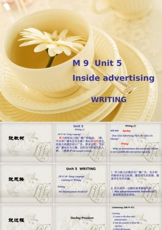 福建省高三英语骨干教师培训 Unit 5 Module 9Inside advertising writing课件 新人教版 课件