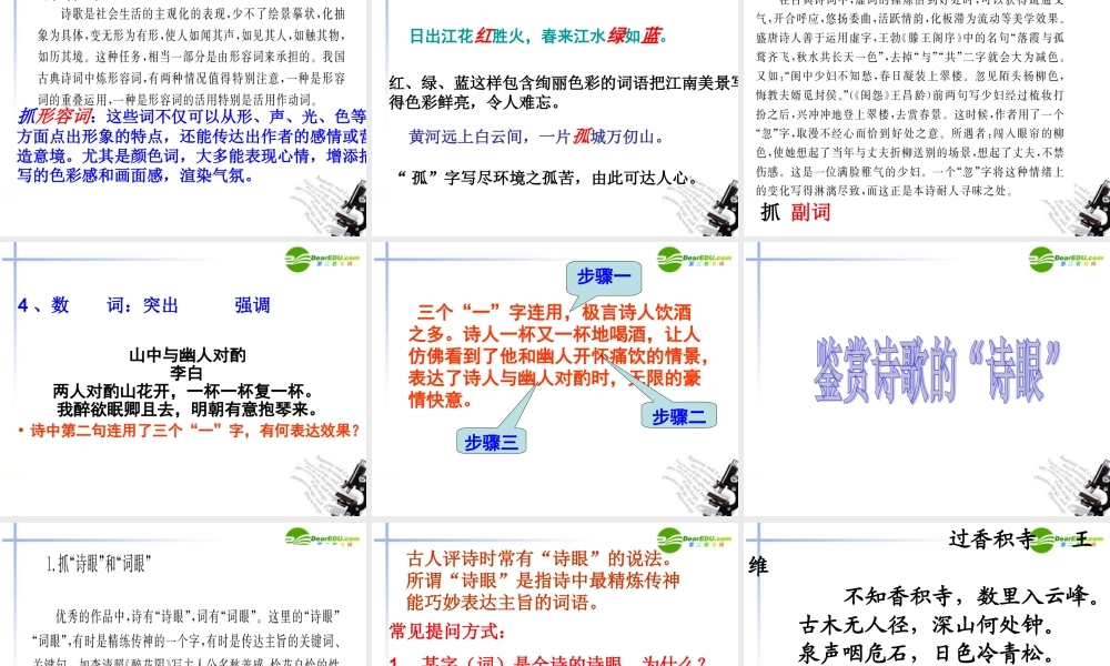 高考语文 古代诗歌鉴赏——鉴赏诗歌的语言复习课件 新人教版 课件