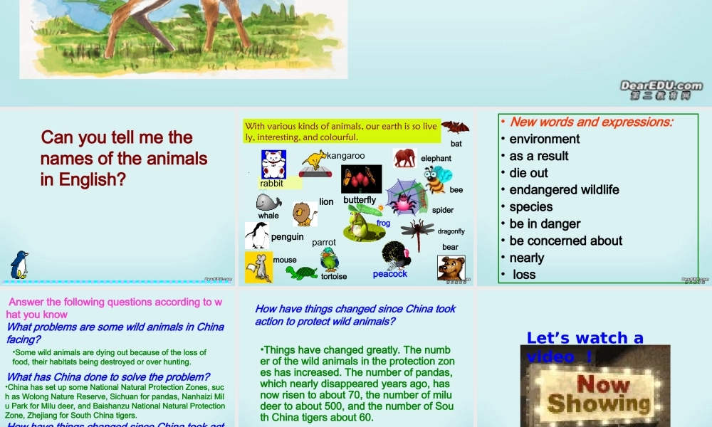 高一英语Module2 Unit4 wildlife protection课件 新课标 人教版 课件