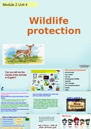 高一英语Module2 Unit4 wildlife protection课件 新课标 人教版 课件