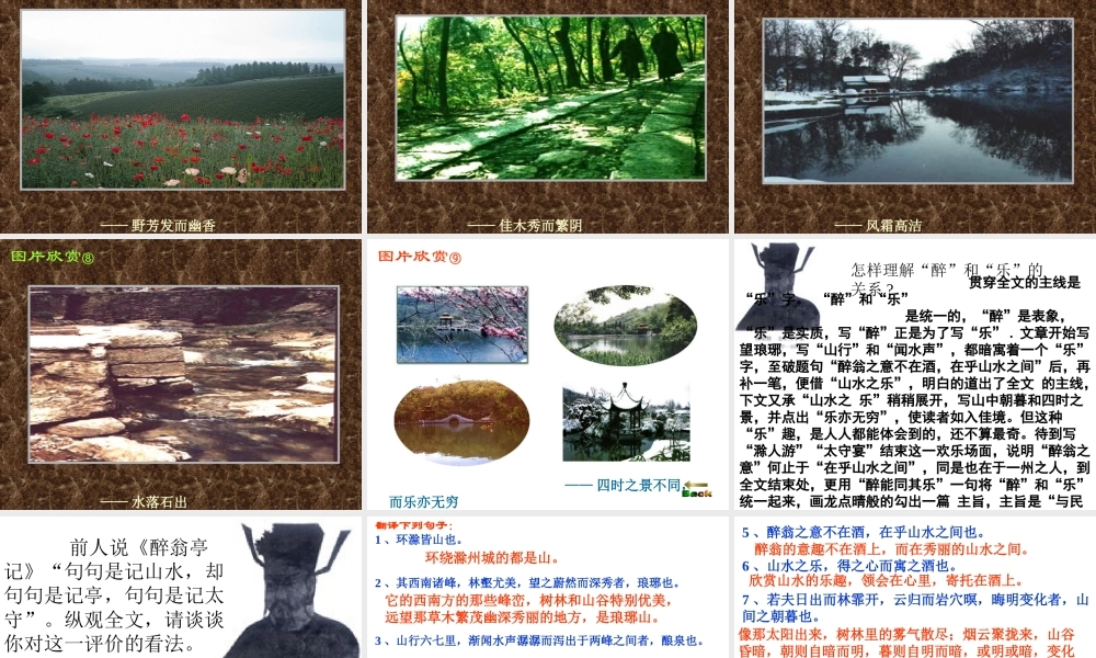 醉翁亭记1 八年级语文下册醉翁亭记课件2个+译文人教版 八年级语文下册醉翁亭记课件2个+译文人教版
