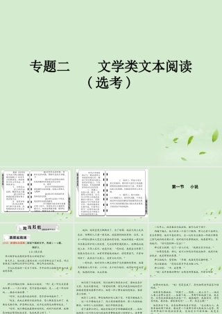 高考语文总复习 专题二 文学类文本阅读选考(2节)精品课件练习课件 新人教版 课件