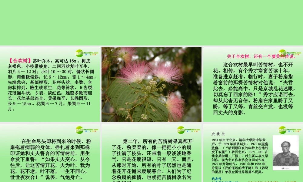 高中语文 合欢树课件 沪教版(高一) 课件