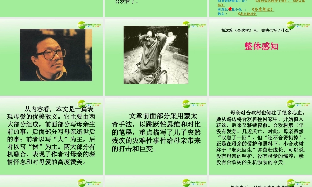 高中语文 合欢树课件 沪教版(高一) 课件