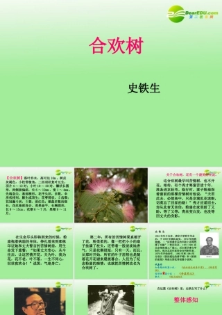 高中语文 合欢树课件 沪教版(高一) 课件