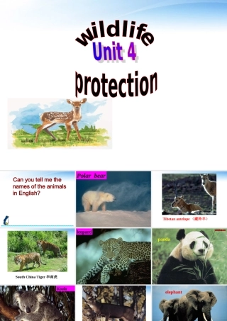 高中英语 Unit4 Warming up课件 新人教版必修2
