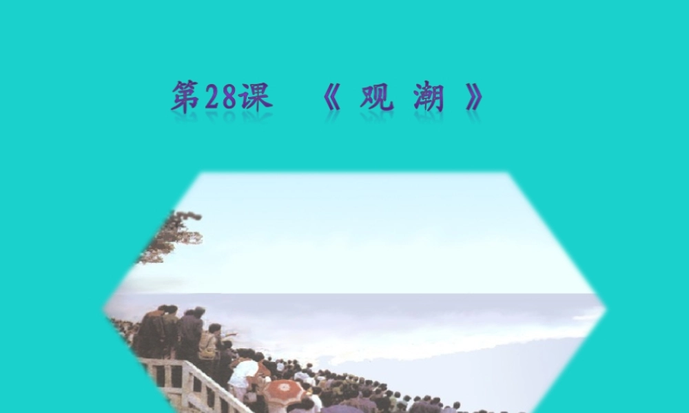 秋八年级语文上册 第六单元 第28课(观潮)课件 新人教版 090514 090514