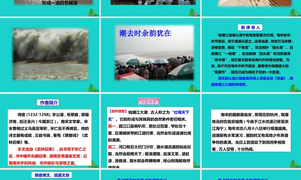 秋八年级语文上册 第六单元 第28课(观潮)课件 新人教版 090514 090514